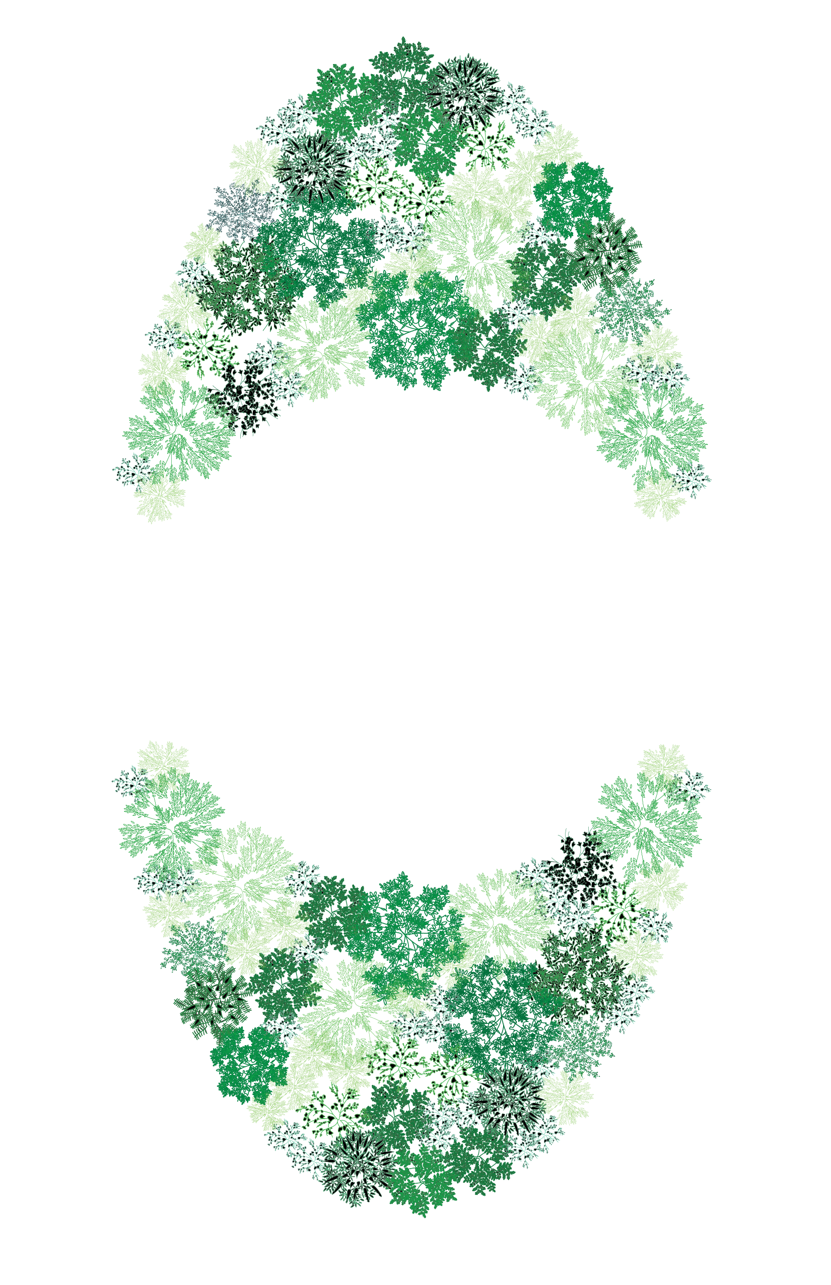 Tree Planting