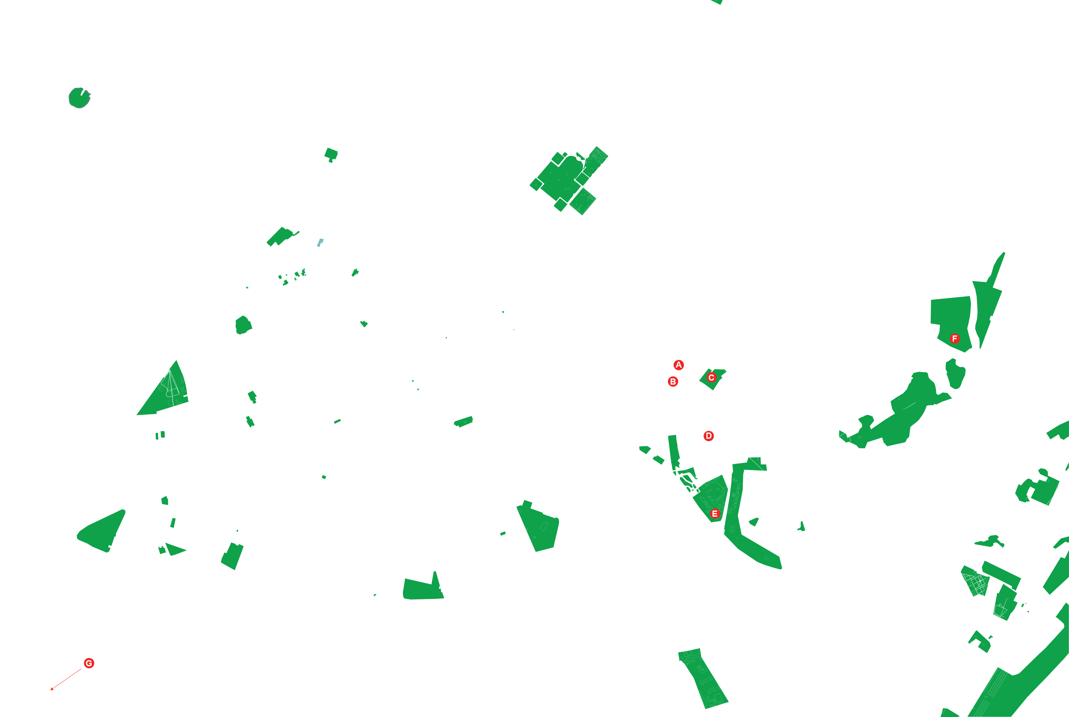 Tree Planting