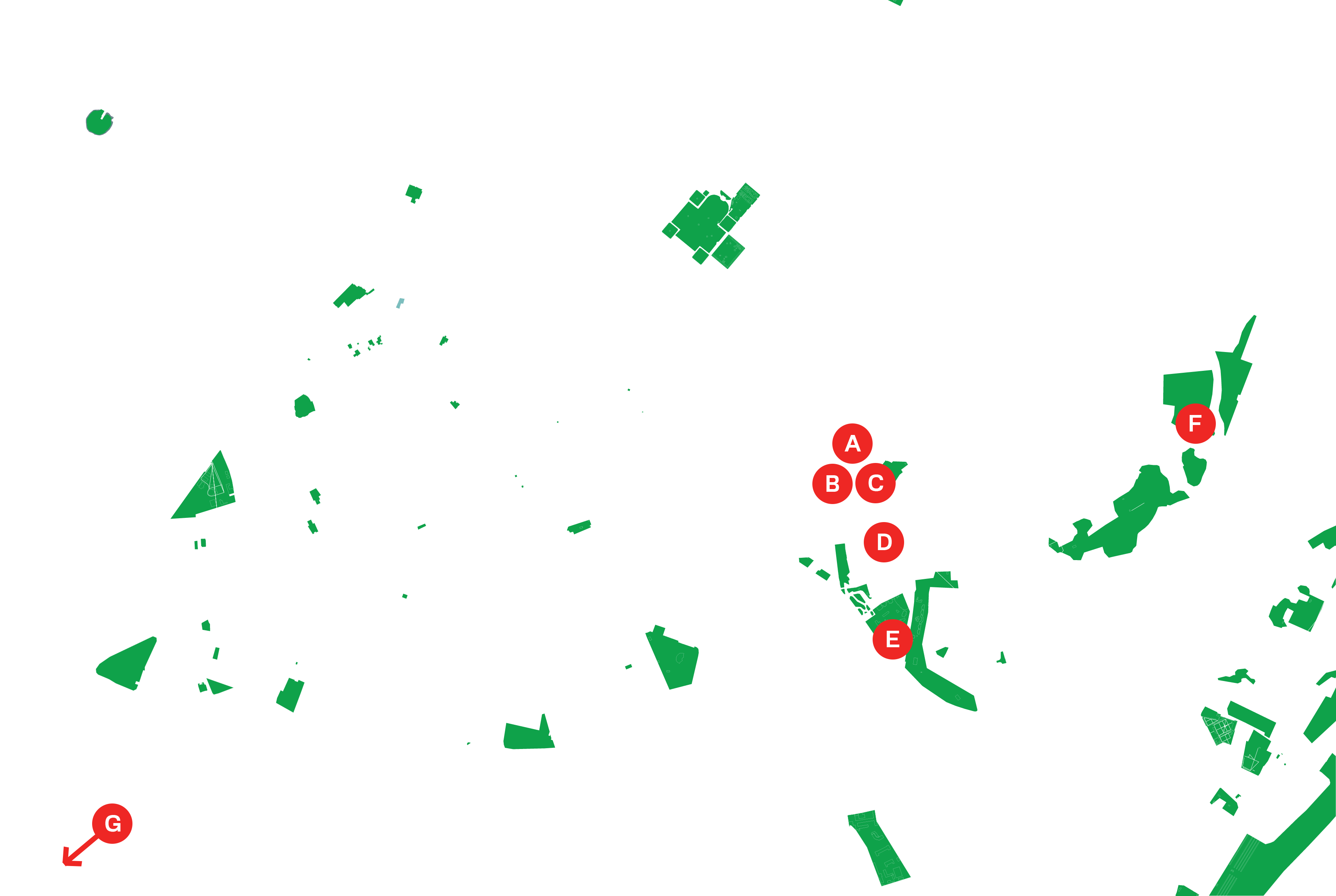 Tree Planting